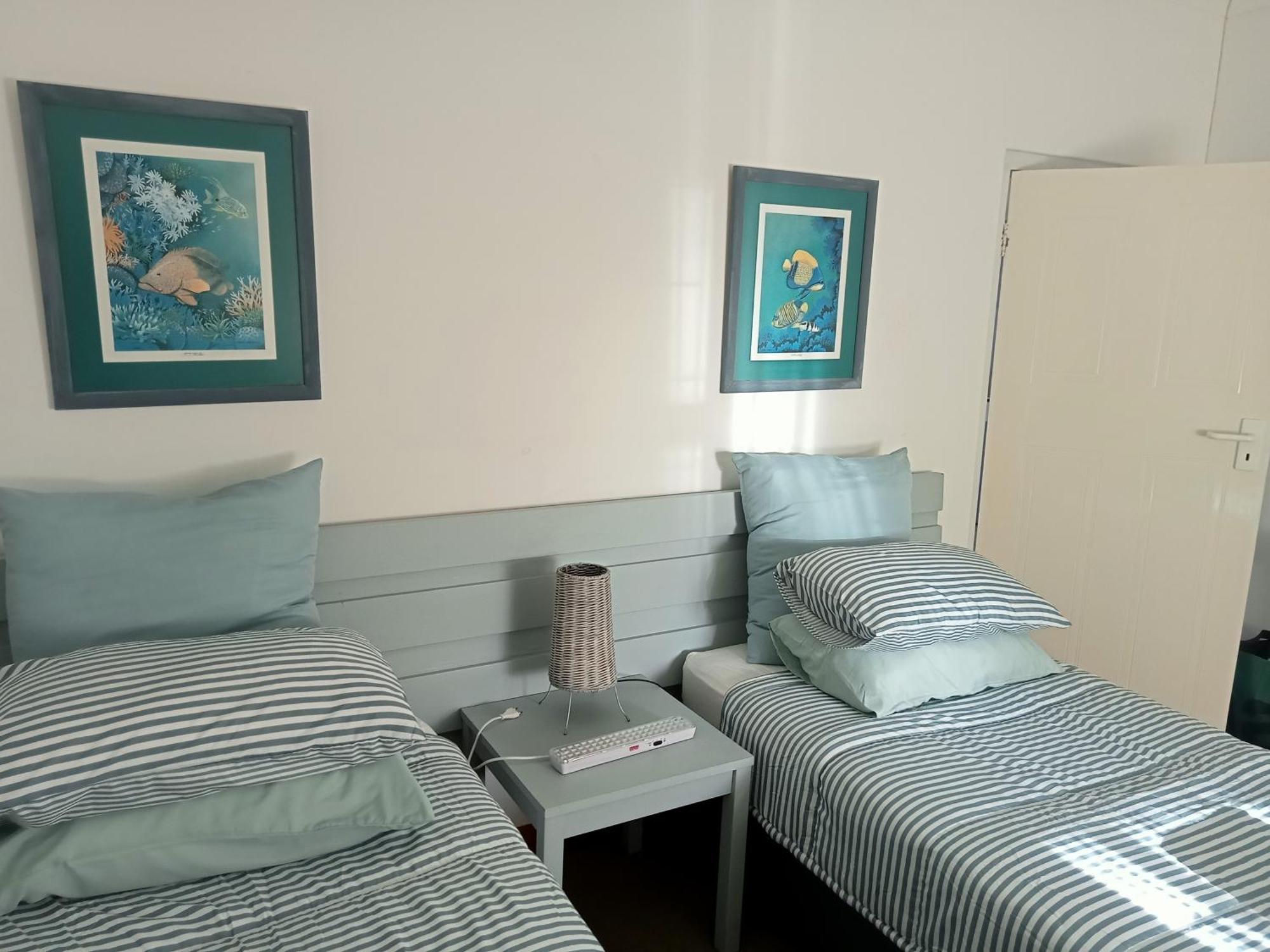57 On Wellington Accommodation 科尔切斯特 外观 照片